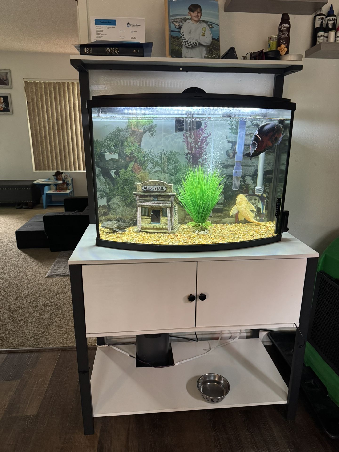 36 Gallon Fish Tank