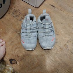 Pumas