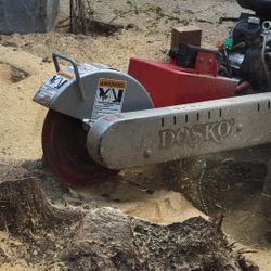 Stump Grinding Remove