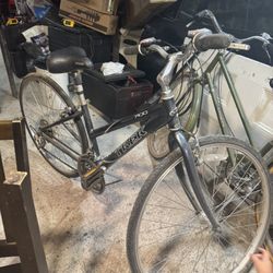 Trek Bike