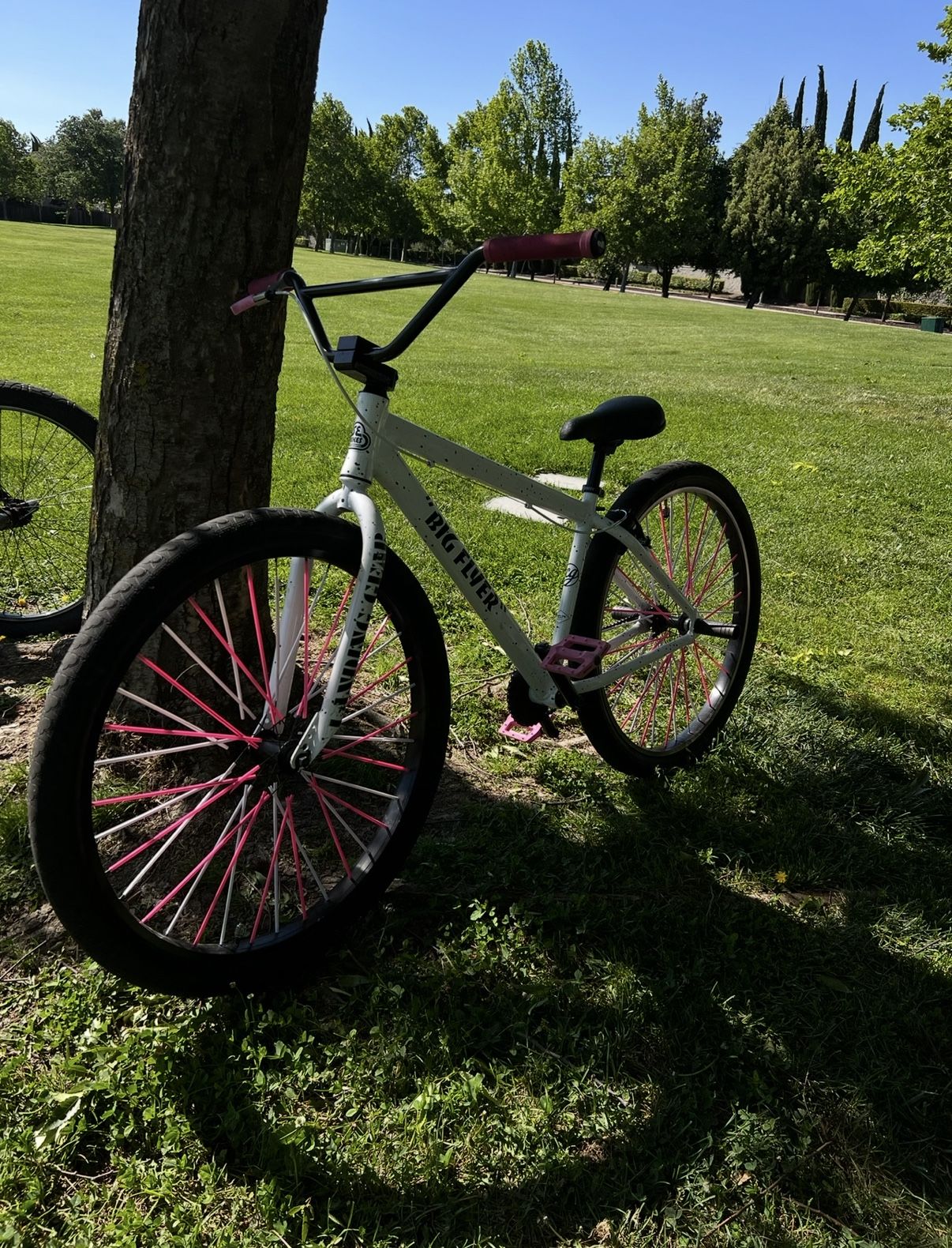 (READ DESC!) 29 Inch Cookies & Cream SE Bike 