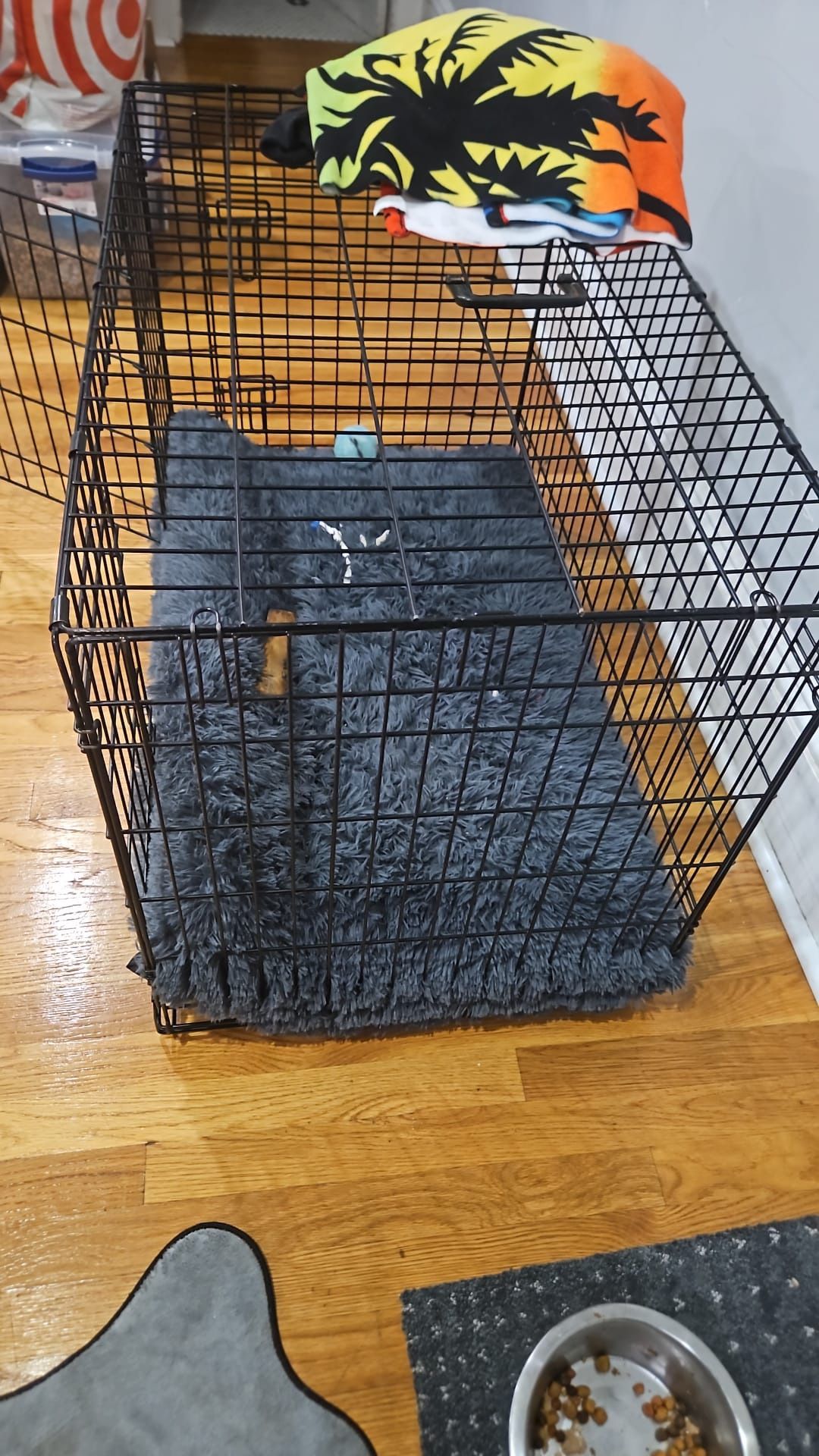Dog case