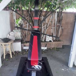 Bow flex PR 1000 With Mat