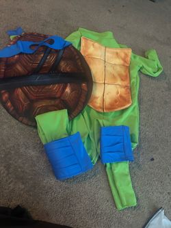 Blue ninja turtle