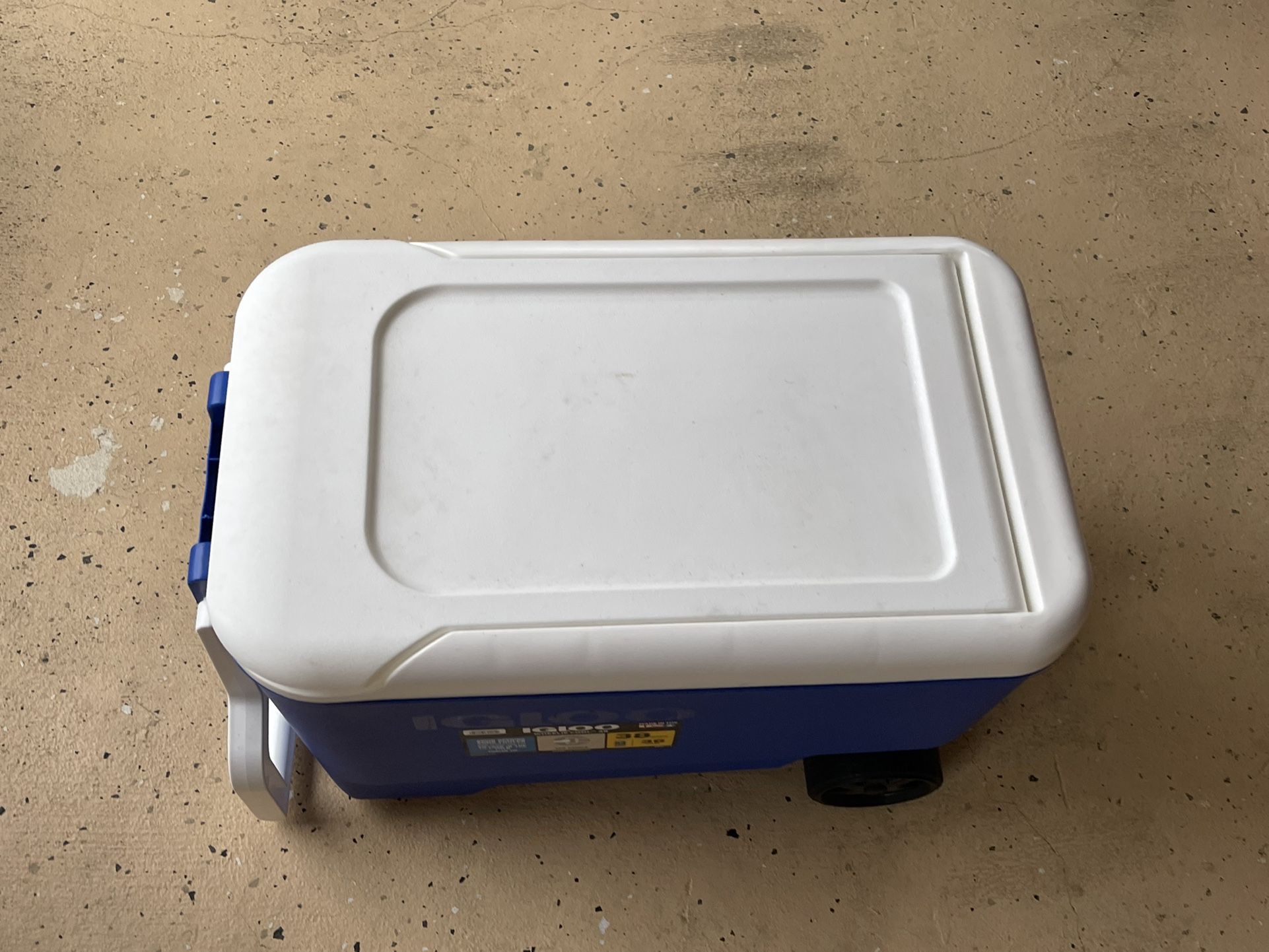 Cvs best sale igloo cooler