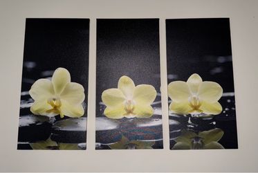 3 panel orchid wall art - like new
