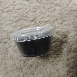 Springtails and isopods