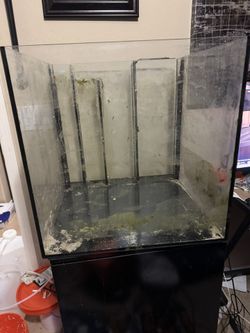 40 Gal AIO