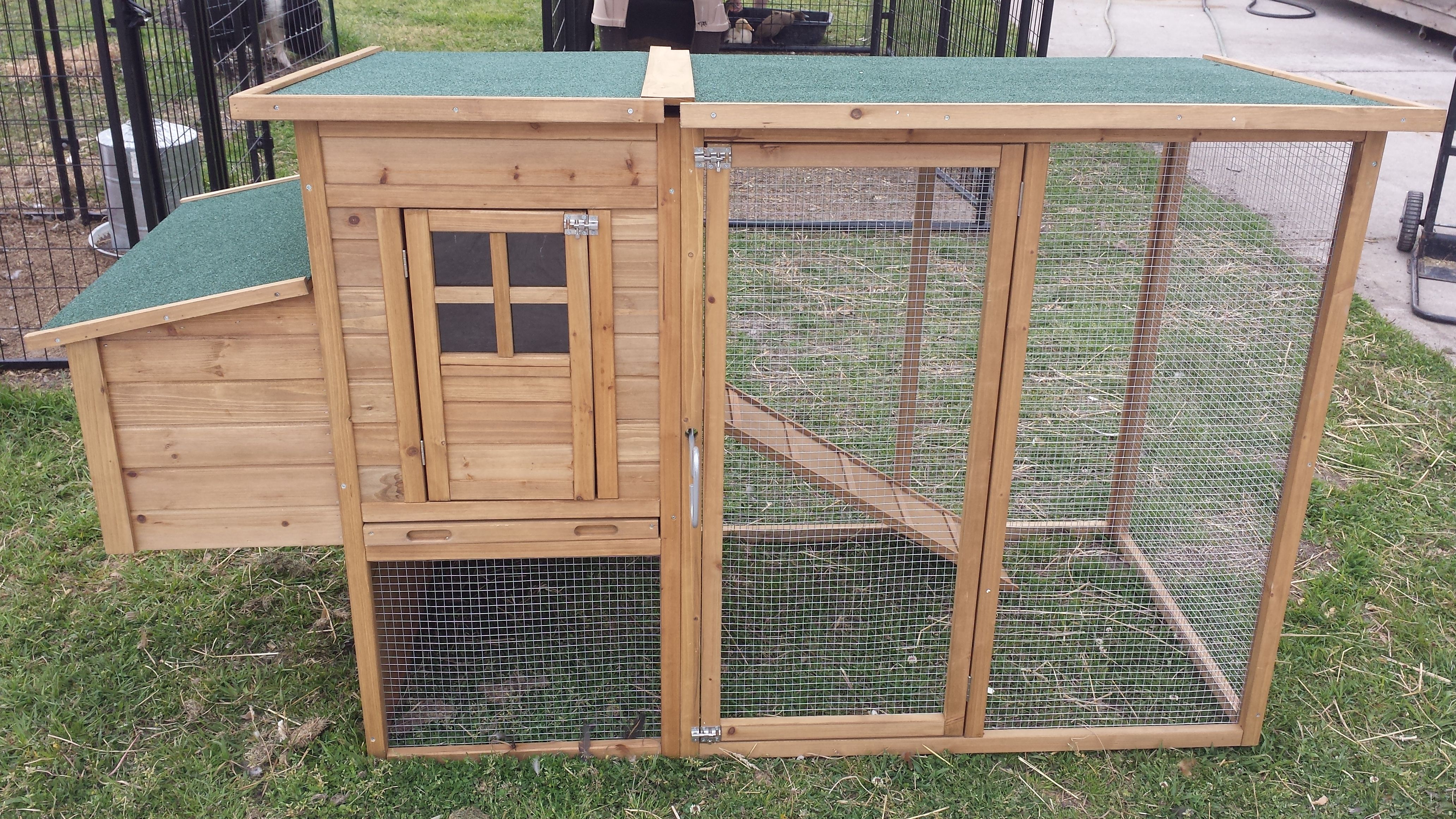 New Chicken Coop