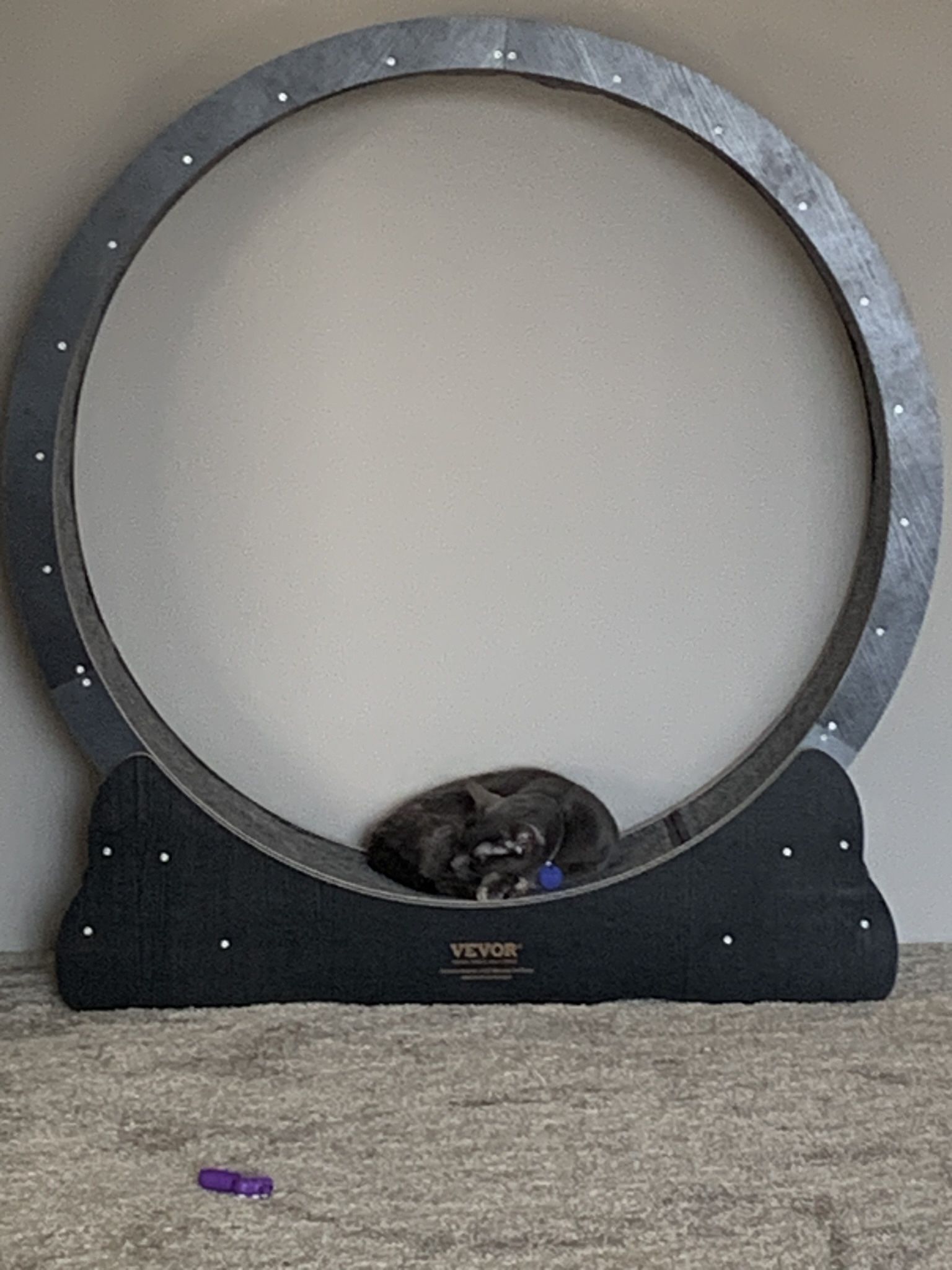 42 In Cat Wheel