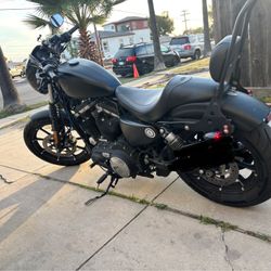 2019 Harley davidson Sportster