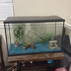 Fish Tank 