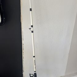 Marathon Saltwater Fishing Rod