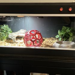 20gal Reptile Enclosure 