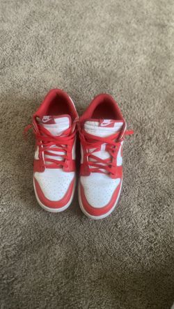 Nike dunks  size 12 men
