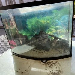 Aquarium 
