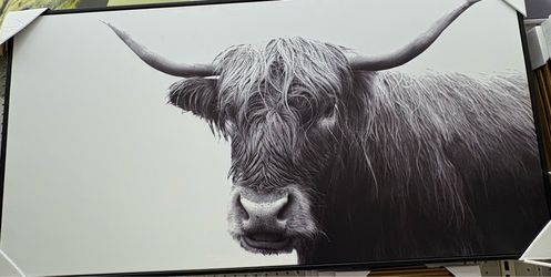 Framed wall canvases