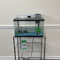 10 Gallon Fish Tank