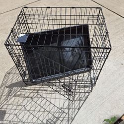 17x19x24 Wire Dog Crate
