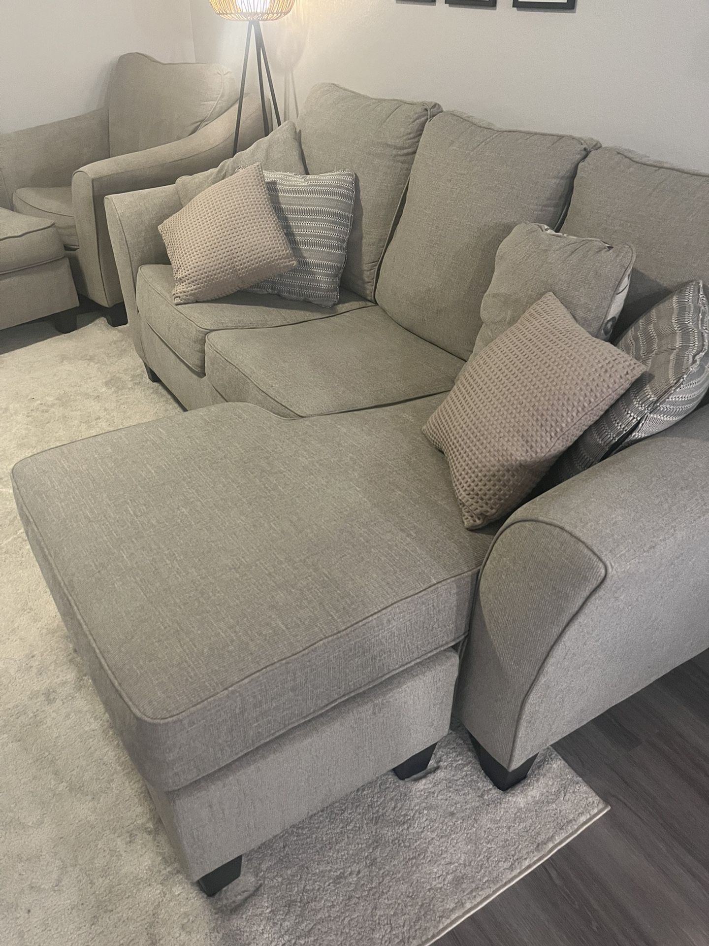 Sleeper sofa/chair