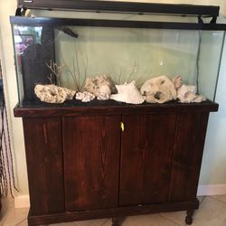 55 Gallons Aquarium With Stand &lights