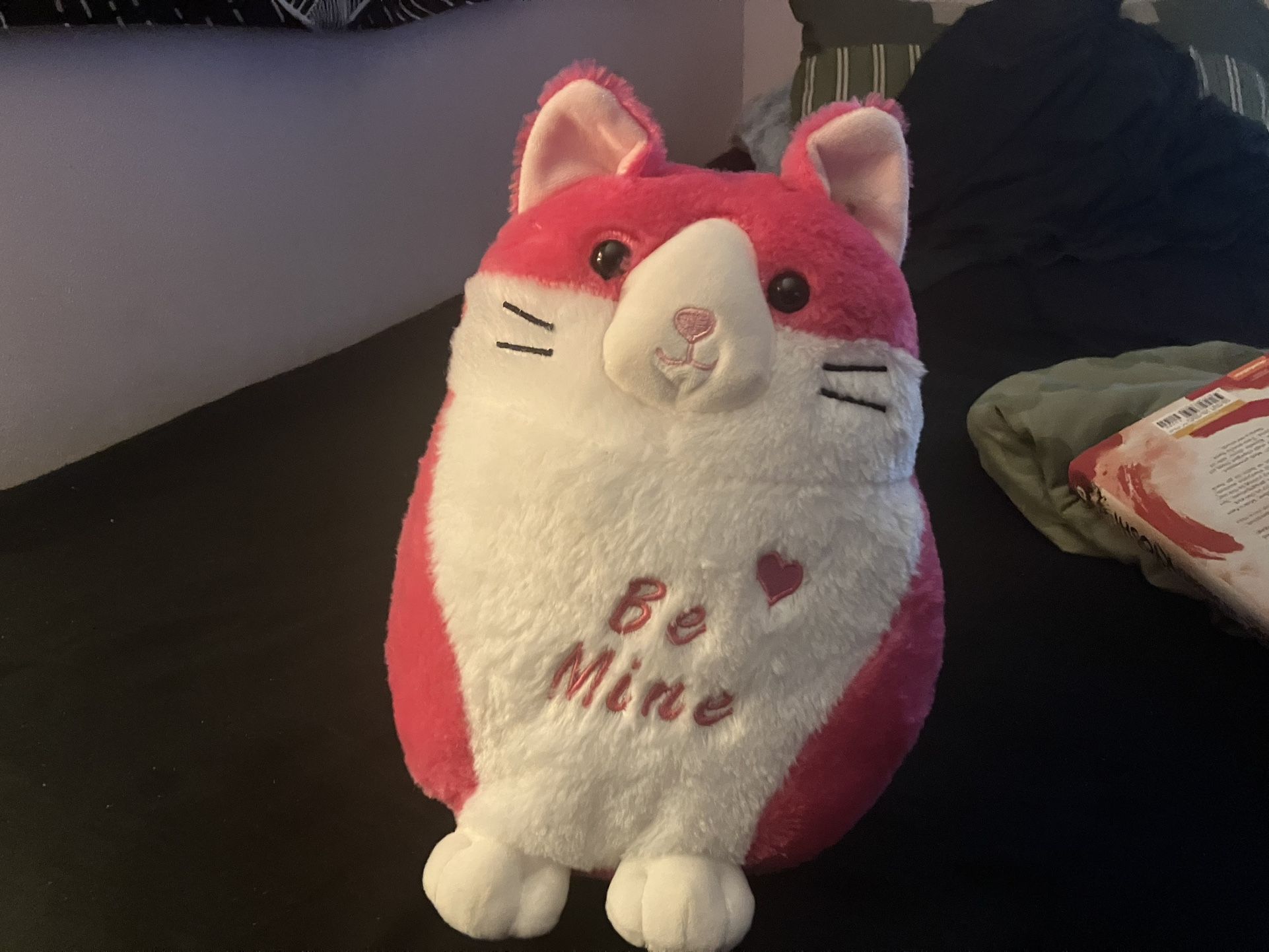 SINGLE Valentine’s Day Pink Cat Squishmallow With “Be Mine”
