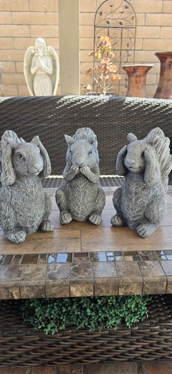 Outdoor bunnies