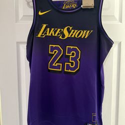 NWT Nike Authentic LA Lakers City Edition Lebron James Jersey FQ4346 Men’s L