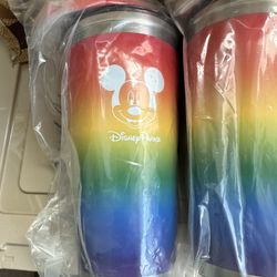 Disneyland park tumbler