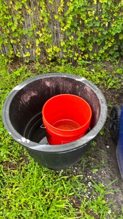 FREE FREE 2 BUCKET