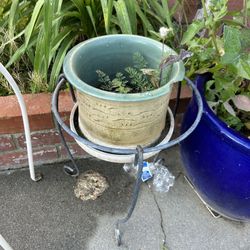 Plants Pot And Stand 