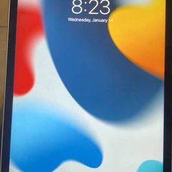 iPad Mini 4  11 Inch 