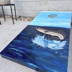 Cornhole Boards 