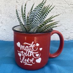 Succulents In A Red Coffee Mug/ Cup Made With Love