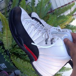 Air Jordan  12   Size 11.5 MEN 