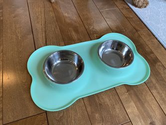 Vivaglory Stainless Steal Dog Bowls in silicon mat
