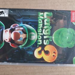 Luigis Mansion