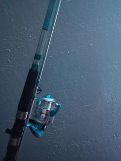 Fishing rod