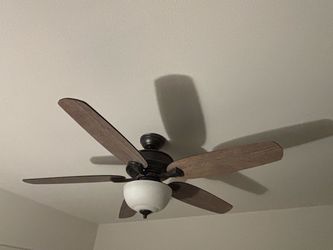 Ceiling Fan (Hunter)