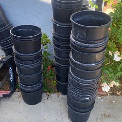 3 Gallon Pots 1 Dollar Each