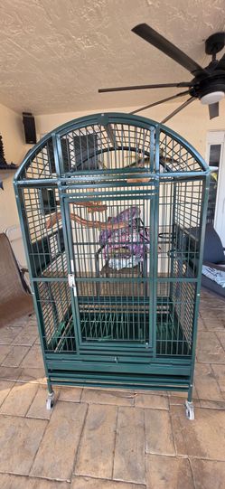 Bird Cage