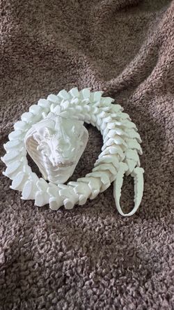 Snake skeleton