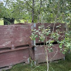 Apple Boxes 