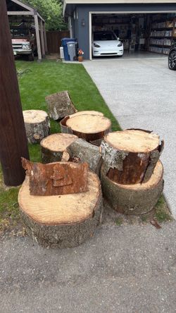 Free Free Free Dry Pine on street