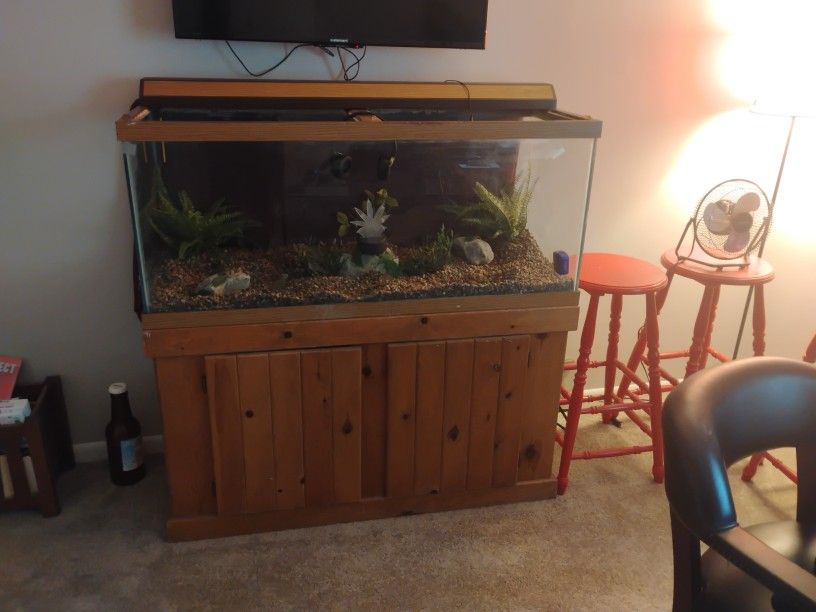 75 Gal Fish Tank