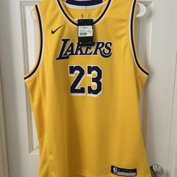 NBA Los Angeles Lakers Lebron James Nike Jersey (Boys XL)
