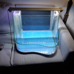 Beautiful All In One custom Tide Pool, Display, Frag Tank.   Salt Water Or Fresh Aquarium With Light