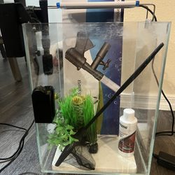 5 Gallon Fish Tank