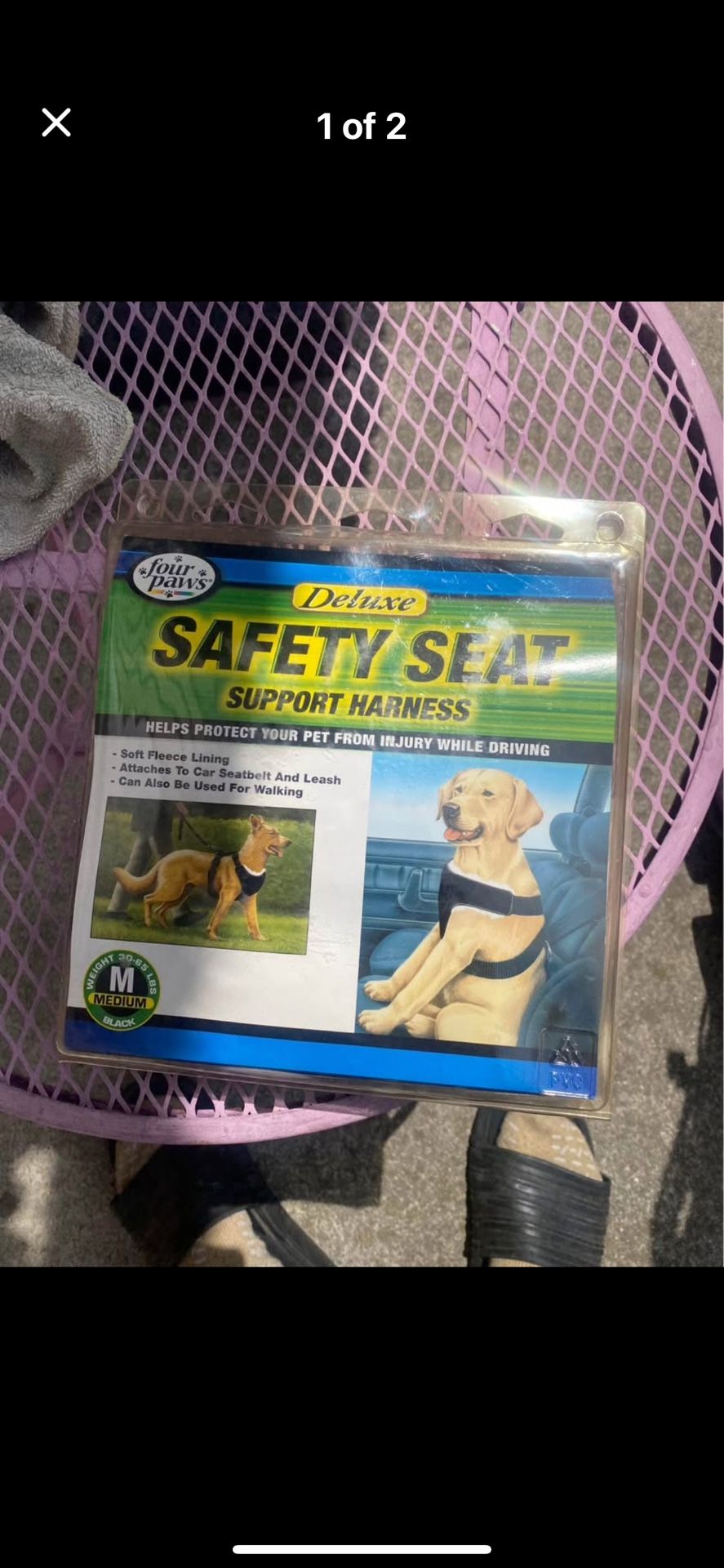 Safety For Your Dog