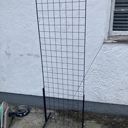 Wire Rack